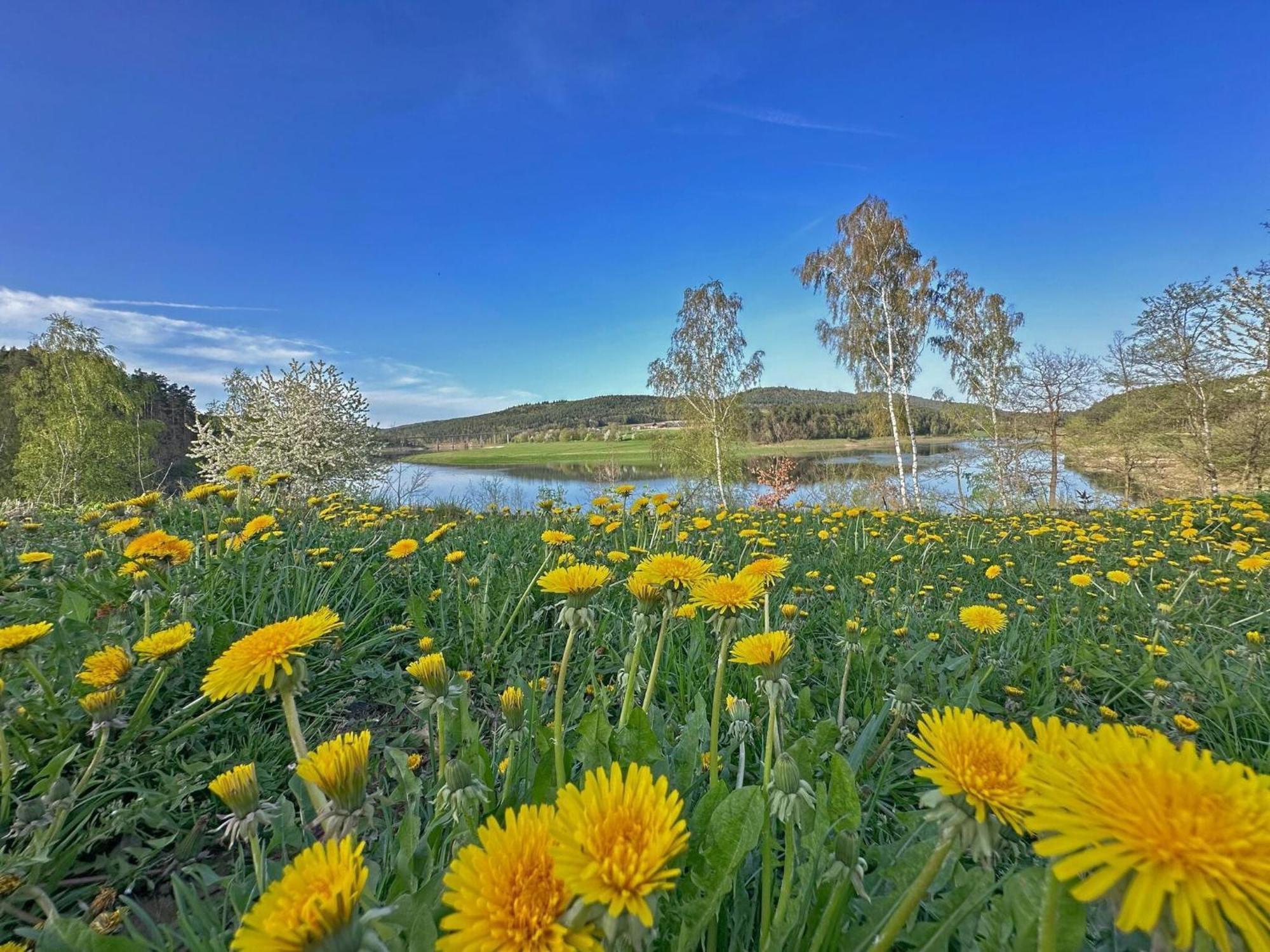Feriendorf Seeblick - Tinyhouse Direkt Am See Neunburg vorm Wald Zewnętrze zdjęcie